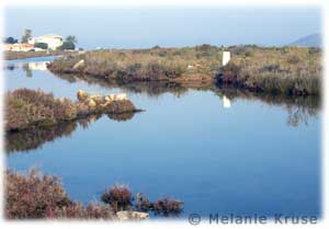 lodo-del-mar-menor